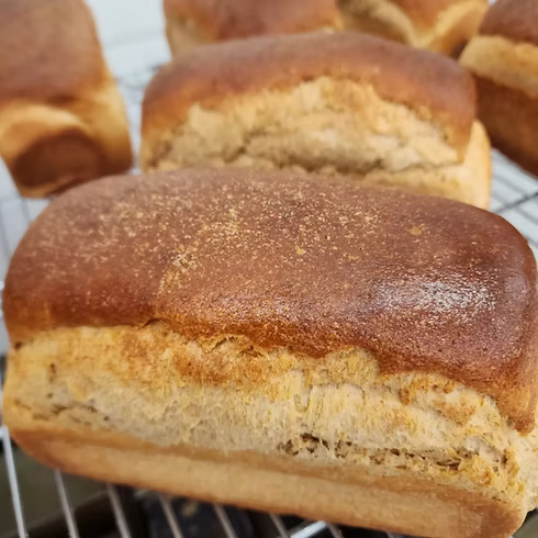 Whole Wheat and Honey