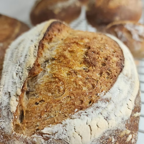 Whole Wheat Sourdough