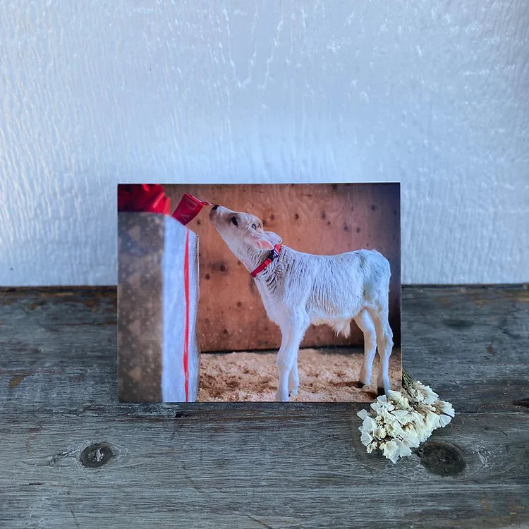 All Occasion Card