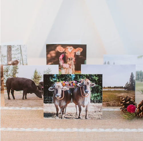 Farm Greeting Card Set