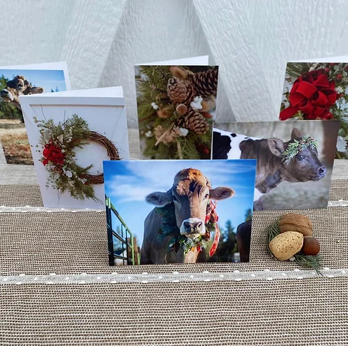 Winter Greeting Cards