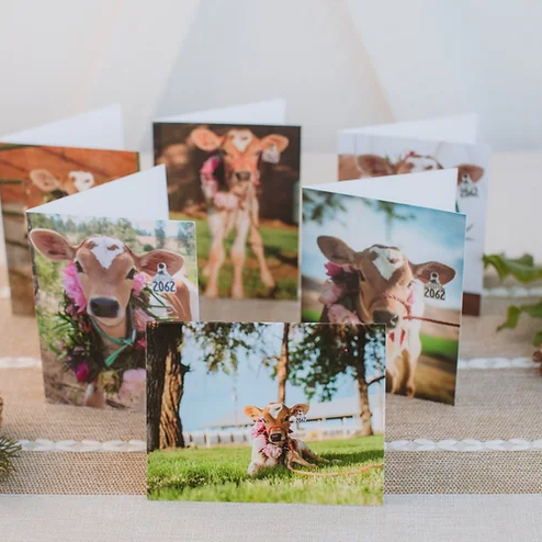 Eleanor Greeting Card Set