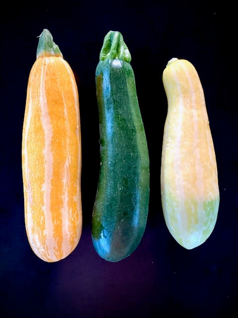 Summer Squash Casa Cano Farms