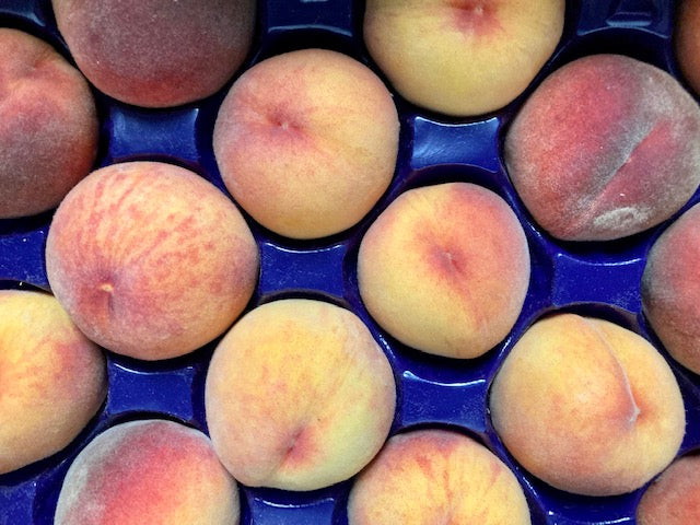 Peaches Casa Cano Farms