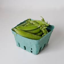 Snap Pea Pint Casa Cano Farms