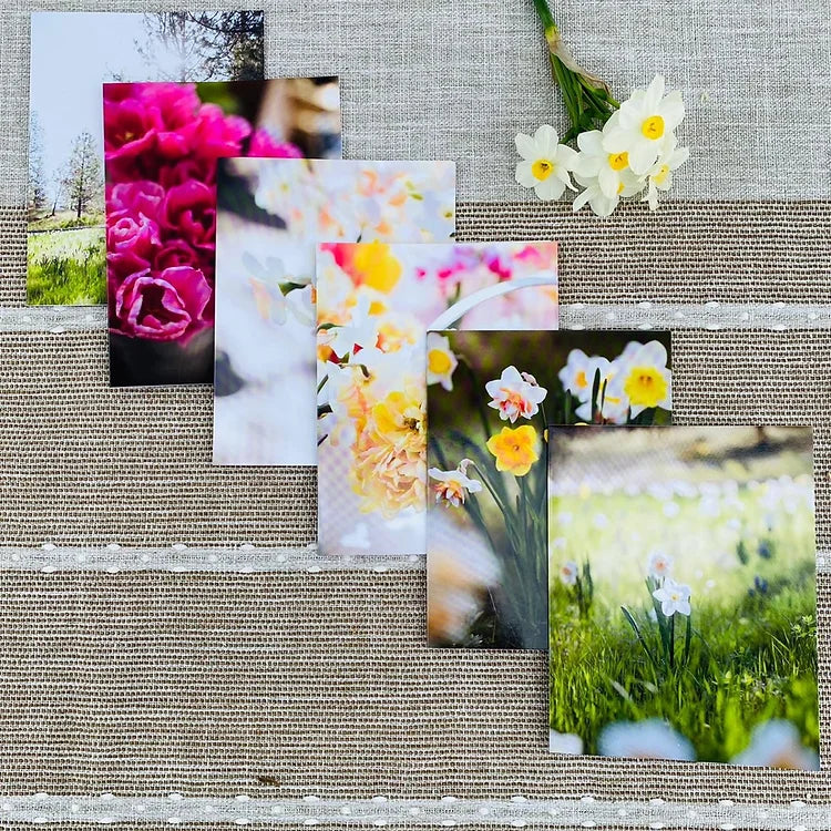 Spring Card Set
