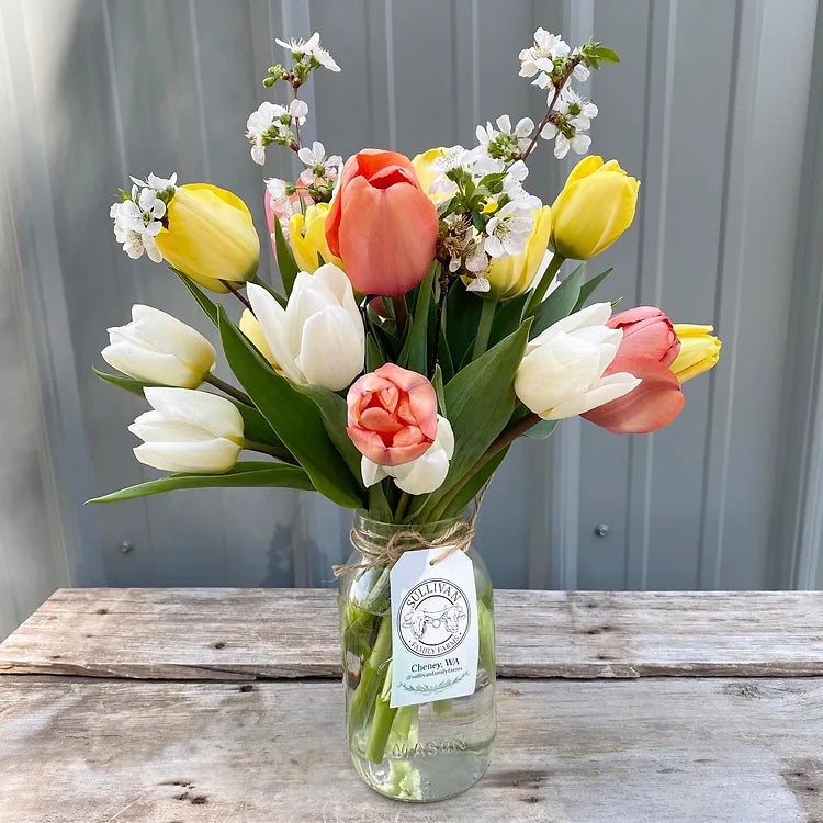 Spring Subscription