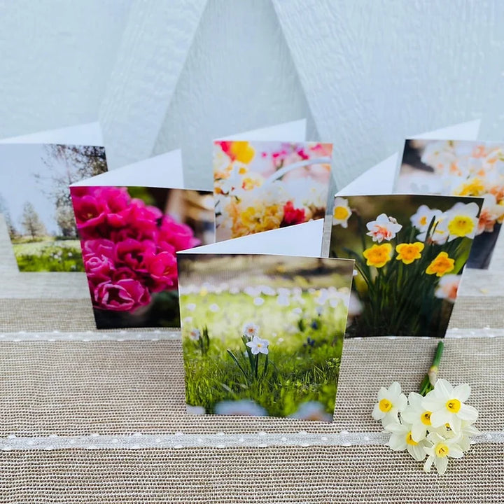 Spring Card Set