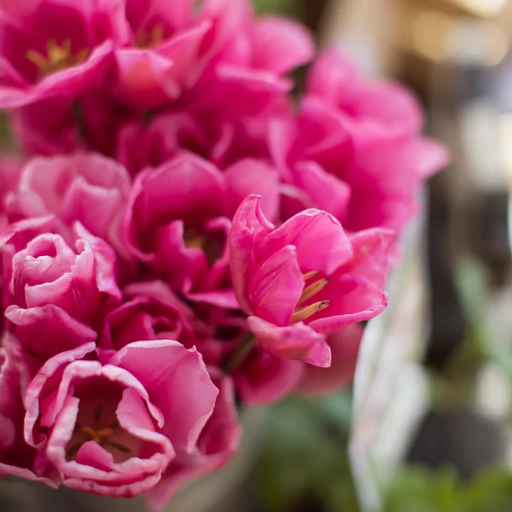Spring Subscription
